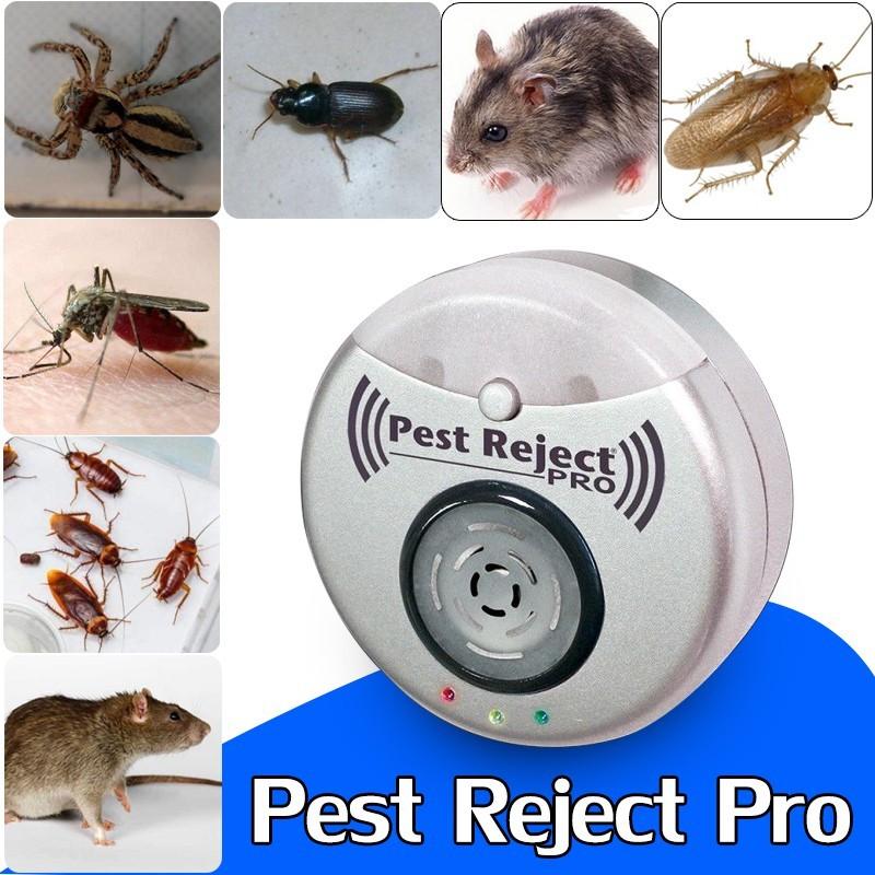 PEST- PEREJECT - MATAINSECTOS